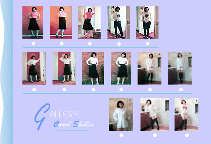 The Carol Shelles Picture Gallery