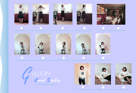 The Carol Shelles Picture Gallery